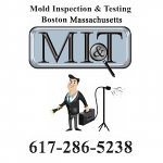 mold-inspection-testing-boston-ma