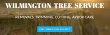 wilmington-local-tree-service