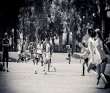 girls-soccer-network