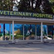 veterinary-associates-stonefield
