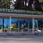 veterinary-associates-stonefield