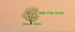 mesa-trees