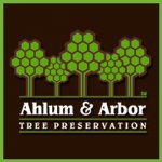 ahlum-and-arbor-tree-preservation