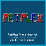 petplex-animal-hospital