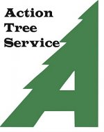 action-tree-service