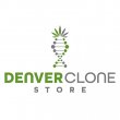denver-clone-store