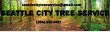 seattle-city-tree-service