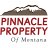 pinnacle-property-of-montana---real-estate-agency
