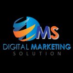 digital-marketing-solution-pvt-ltd