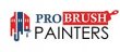 pro-brush-painters
