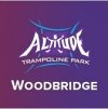 altitude-trampoline-park