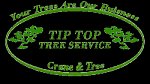 tip-top-tree-service-of-ft-myers-naples