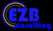 ezb-consulting