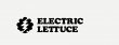 electric-lettuce---oregon-city-dispensary