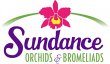 sundance-orchids-bromeliads