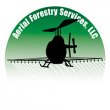 aerial-forestry-services