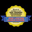 denver-dog-behavior-training