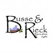 busse-rieck-flowers-plants-and-gifts