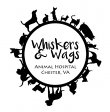 whiskers-and-wags-animal-hospital
