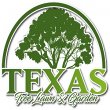 texas-tree-lawn-garden
