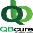 qb-cure-accounting-bookkeeping-quickbooks-services