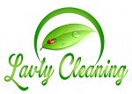 lavty-cleaning