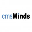 cmsminds---webdesign-development-company-in-usa
