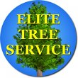 elite-tree-service