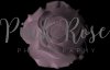 pink-rose-photography