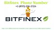contact-on-bitfinex-customer-support-phone-number
