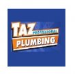 taz-plumbing