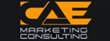 cae-marketing-consulting-inc