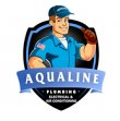 aqualine-plumbers-electricians-ac-repair-gold-canyon-az