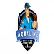 aqualine-plumbers-electricians-heating-renton-wa