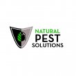 natural-pest-solutions