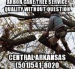 arbor-care-tree-service