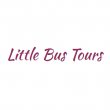 little-bus-tours