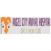 angel-city-animal-hospital