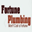 fortune-plumbing