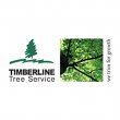 timberline-tree-service