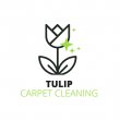 tulip-carpet-cleaning
