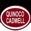 quinoco-energy-services-inc