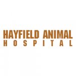 hayfield-animal-hospital
