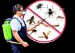 bug-busters-do-it-yourself-pest-control