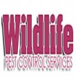 wildlife-pest-control