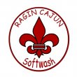 ragin-cajun-softwash-llc