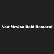 new-mexico-mold-removal