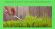 augusta-lawn-care-and-maintenance