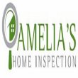 amelia-s-home-inspection-racine