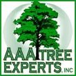 aaa-tree-experts